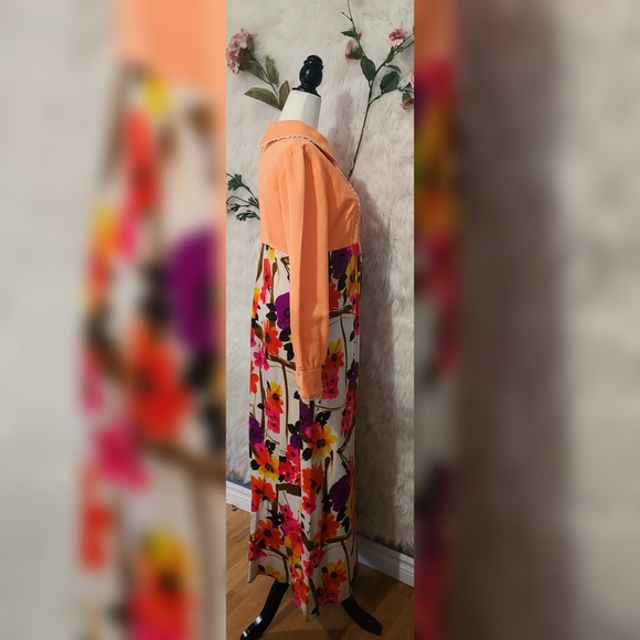 Yes Honey ? - 1970s Floral and Coral Peter Pan Collared Maxi Dress - Picture 3 of 6